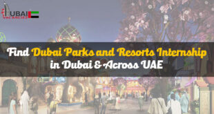 Dubai Parks and Resorts Internship