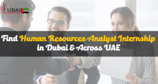 Human Resources Analyst Internship